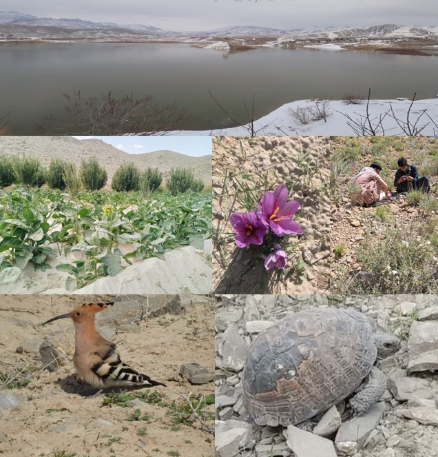 Conference Background