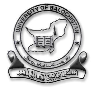 University of Balochistan Logo